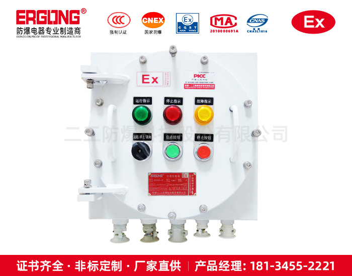 防爆配電箱（柜）-實(shí)力廠(chǎng)家