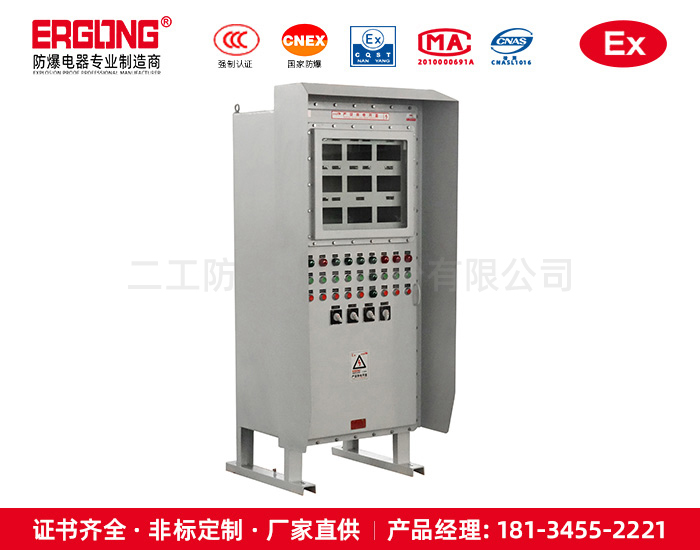 戶(hù)外立式防爆精密儀表配電柜