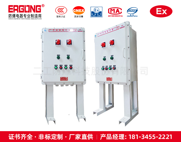 防爆控制箱（柜）-廠(chǎng)家批發(fā)